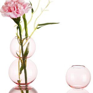 Glass Bubble Vases for Flowers 2pcs Unique Cute Single Flower Vase Centerpiece